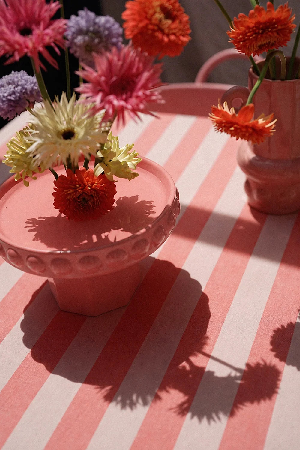 COUPE JANE ROSE