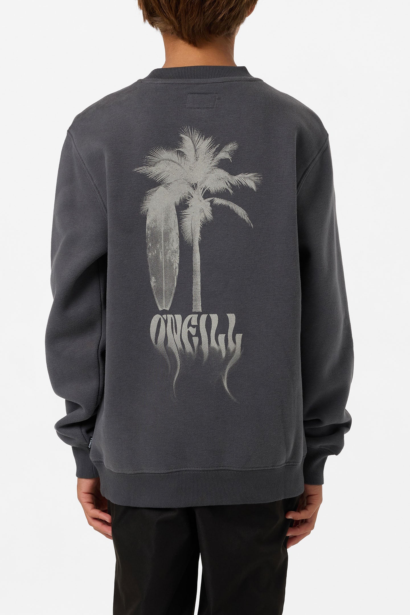 Boy's Shadow Classic Crew Neck Fleece
