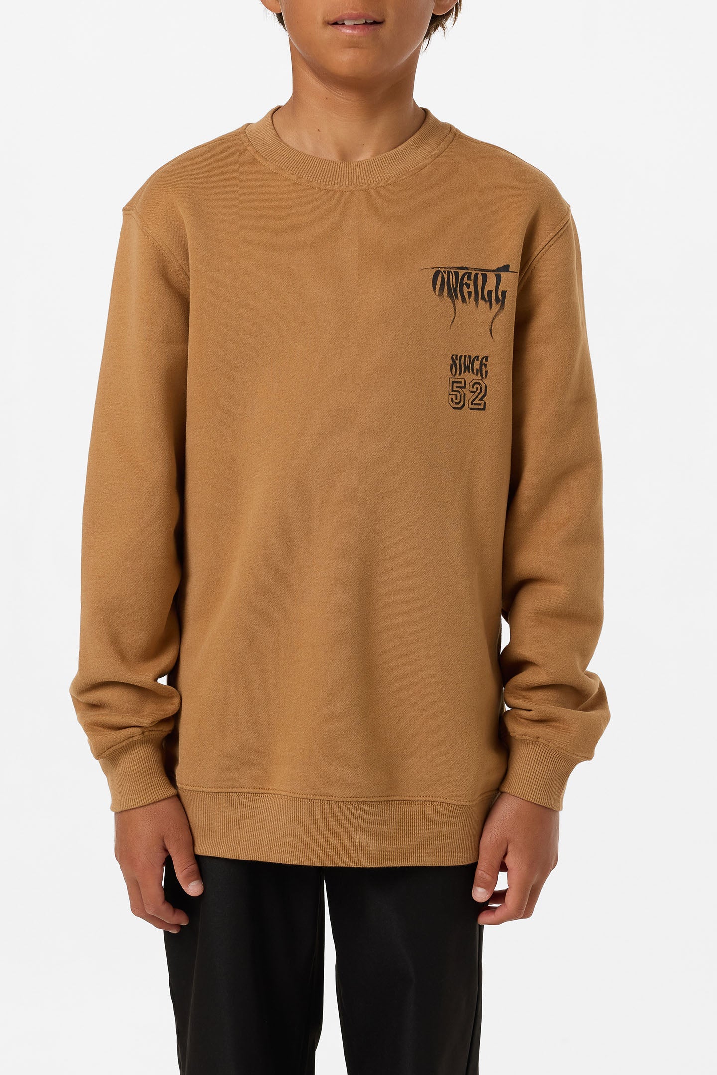 Boy's Shadow Classic Crew Neck Fleece