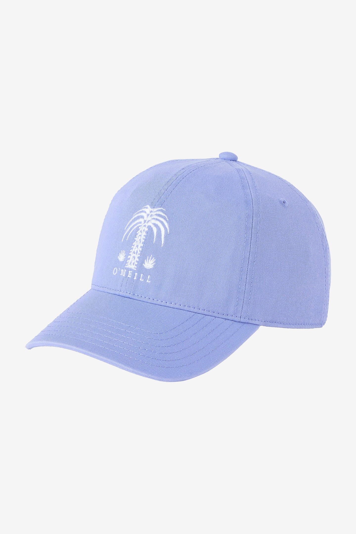 Palm Dad Hat