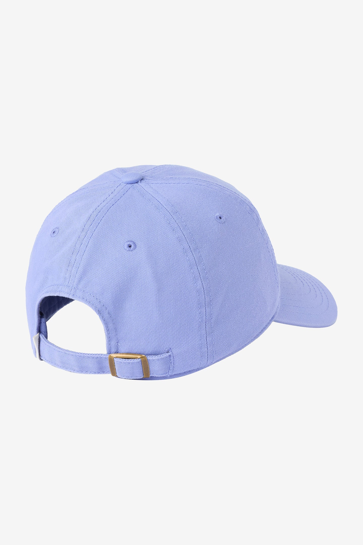 Palm Dad Hat