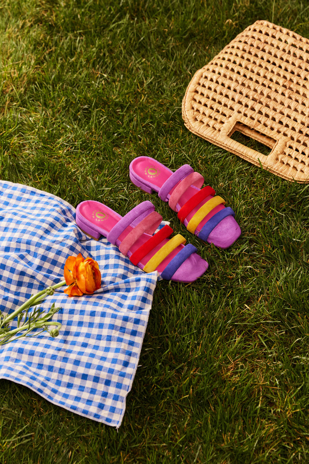MULES LILA RAINBOW
