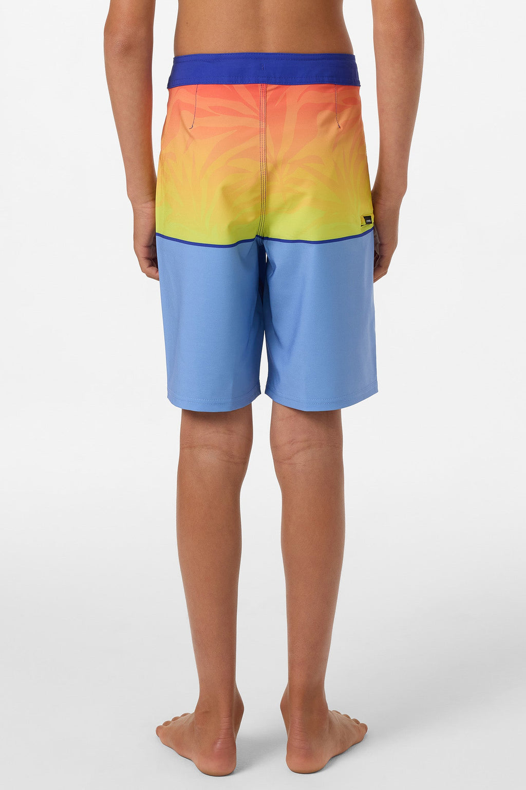 Boy's Hyperfreak Heat Block 17" Boardshorts