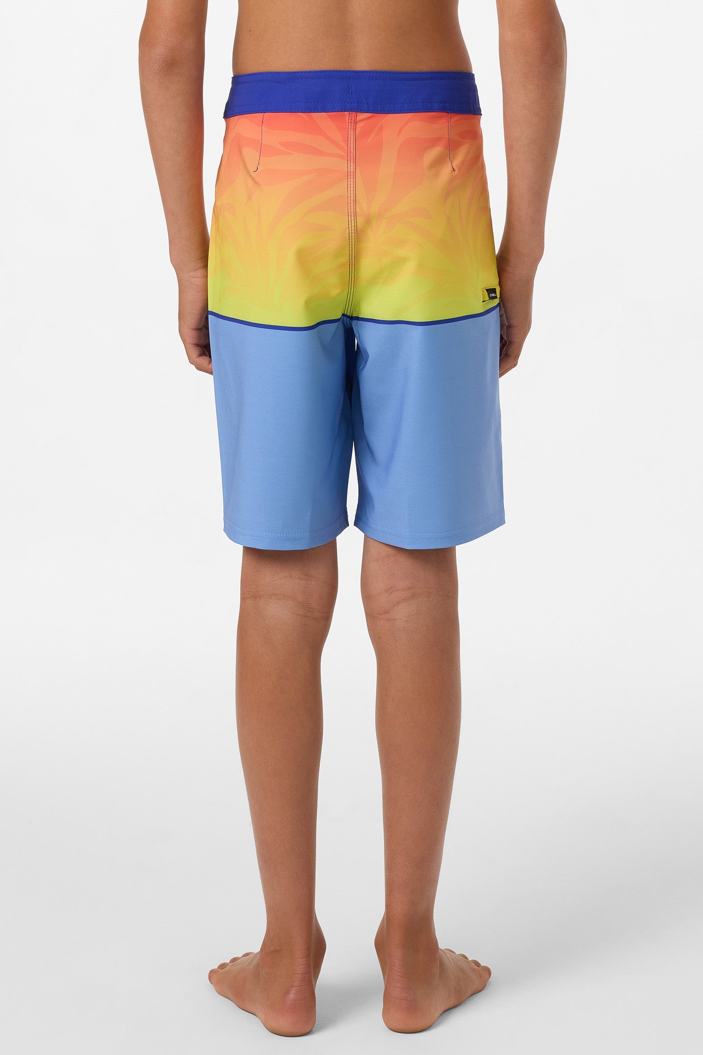 Boy's Hyperfreak Heat Block 17" Boardshorts