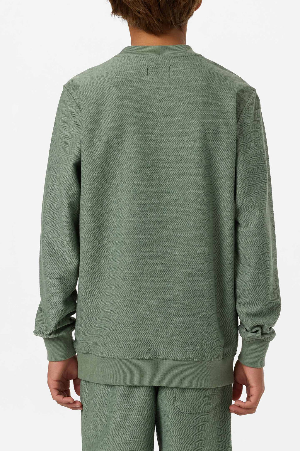 Boy's Bavaro Solid Crew Neck Fleece
