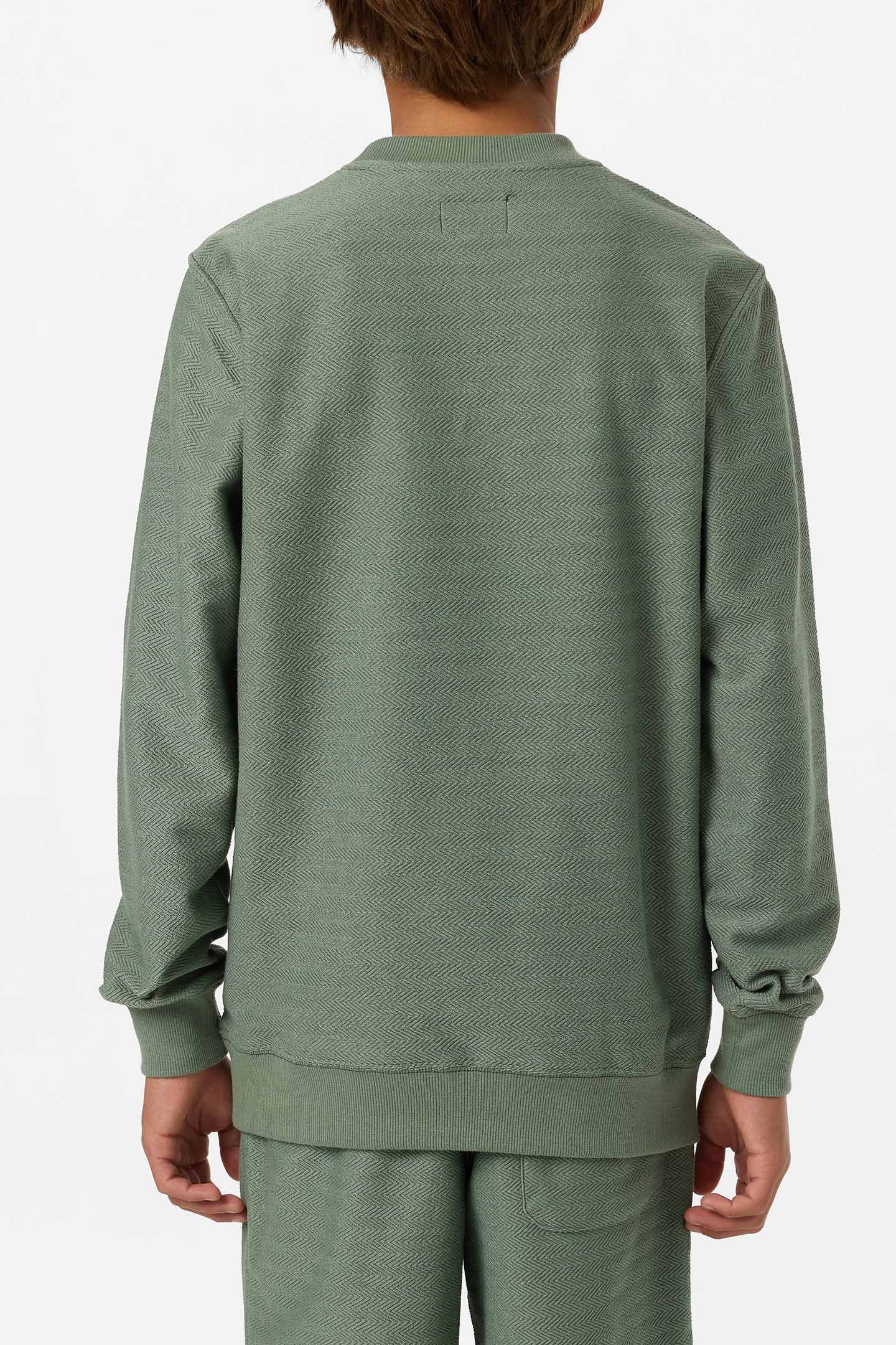 Boy's Bavaro Solid Crew Neck Fleece